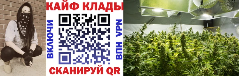 Виды наркотиков купить Фёдоровский A PVP Гашиш Амфетамин COCAIN Конопля