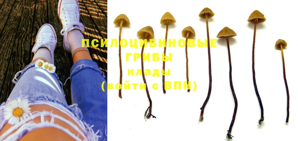 PSILOCYBIN Алексин