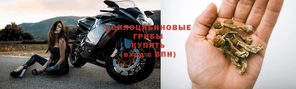 PSILOCYBIN Алексин