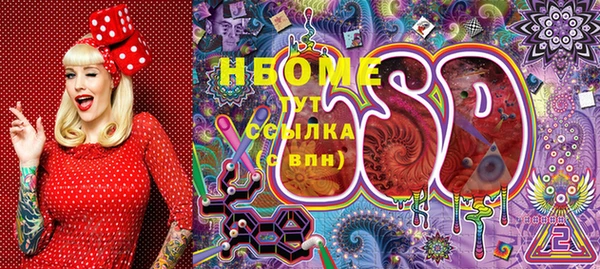хмурый Алзамай