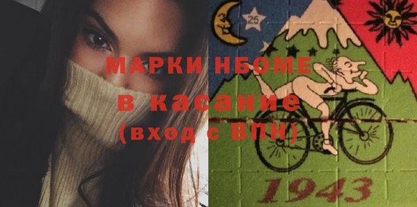 хмурый Алзамай