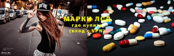 хмурый Алзамай