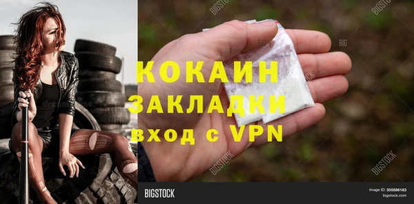 хмурый Алзамай