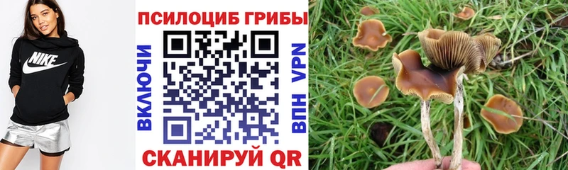 площадка состав Фёдоровский Псилоцибиновые грибы ЛСД mega ТОР